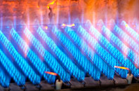 Burpham gas fired boilers